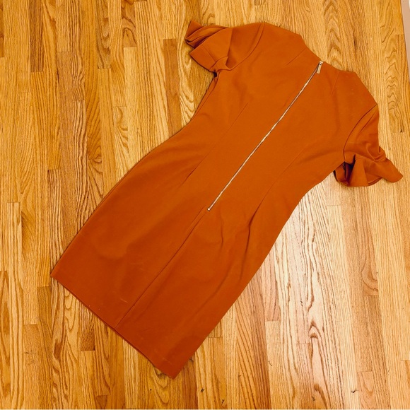 Calvin Klein Women’s Dress Gold Size 10 Shift short tulip live sleeve - Picture 3 of 10